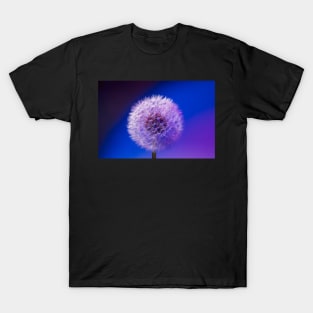 Single dandelion seed head close up T-Shirt